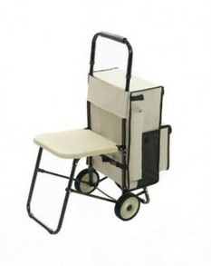 Pull Trolley with Pull-Out Seat (link above)