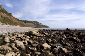 Branscombe, showing the sloping cliffs