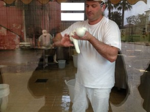 Just south of Salerno, water buffalo farms dominate the region to produce their famous buffalo mozzarella.