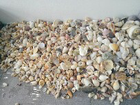 That is a lot of Shells!