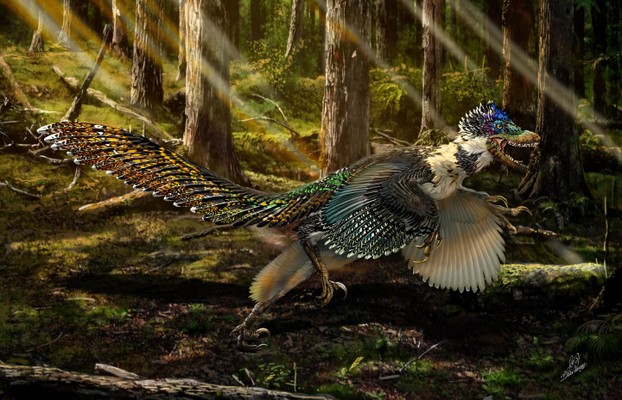 University of Edinburgh, "Feathered cousin of 'Jurassic Park' star unearthed in China," EurekAlert News Release July 16, 2015