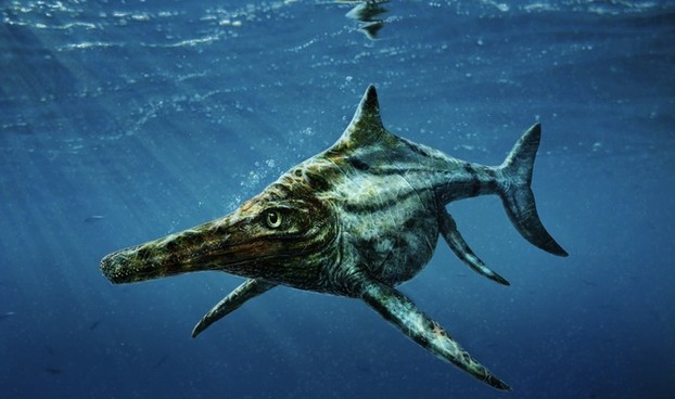 S. Brusatte, "How we found Scotland’s first Jurassic sea reptile," The Conversation, January 12, 2015