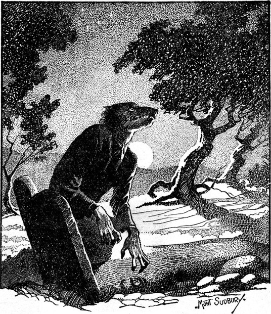 Drawing of a werewolf in woodland at night. Illustration for the story "The Werewolf Howls".