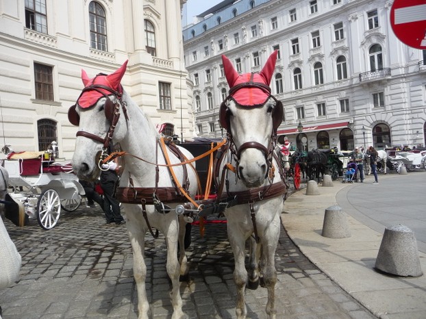 Hofburg Palace with Horse and Carriage, Vienna