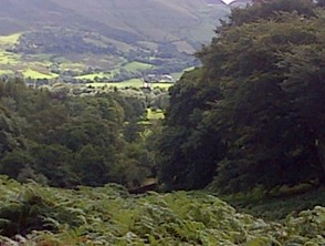looking down the vale