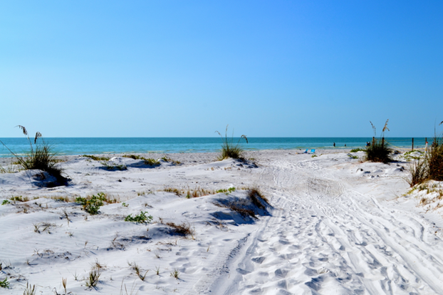 Blue skies and beautiful vistas at North Beach in Fort De Soto Park.