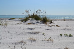 Fort De Soto is perfect for those who love nature and quiet beaches.