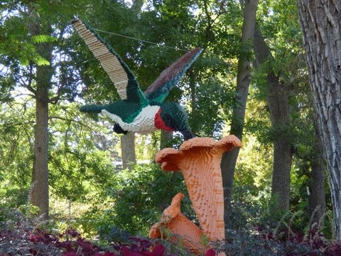 Humingbird Lego Sculpture Exhibit at the Zoo