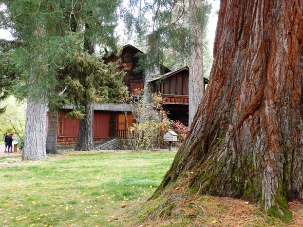 Sequoia Tree and Historic Home