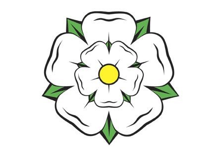 A white Yorkshire rose