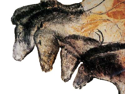 Horses in Chauvet Cave