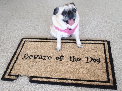 Kempf Beware of The Dog Doormat