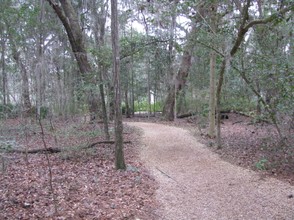 A view of the woodland walk.