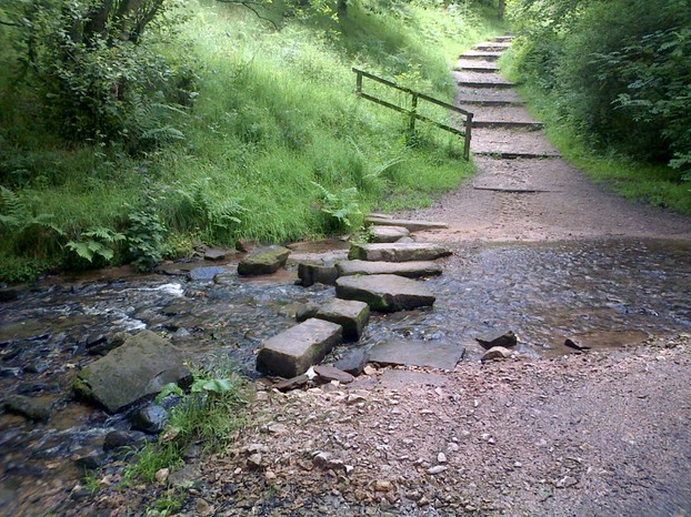 Stepping stones in the Macc Forest