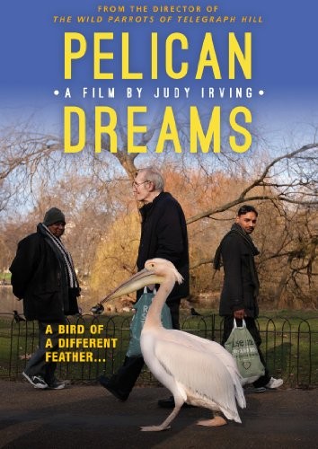 Pelican Dreams DVD