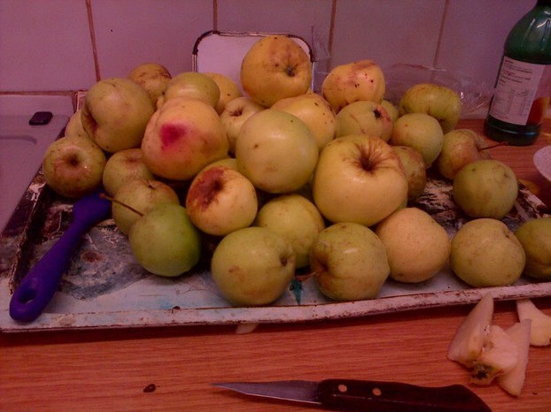 Just some of the apple mountain