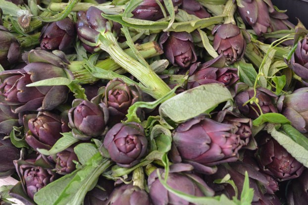 Purple artichokes, enjoyed in Venice during the early summer.