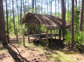 An example of a Seminole home in the Okefenokee.