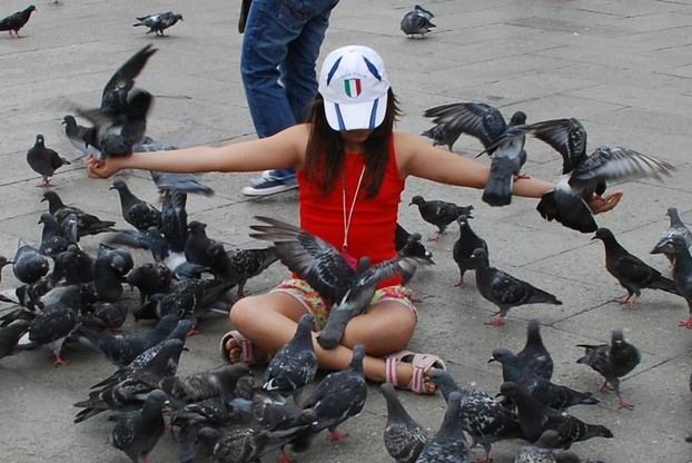 girl feeding wild pigeons (Columba livia) in Piazza San Marco, Saturday, Sept. 12, 2009, 13:43