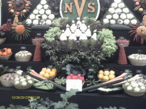 The NVS stall