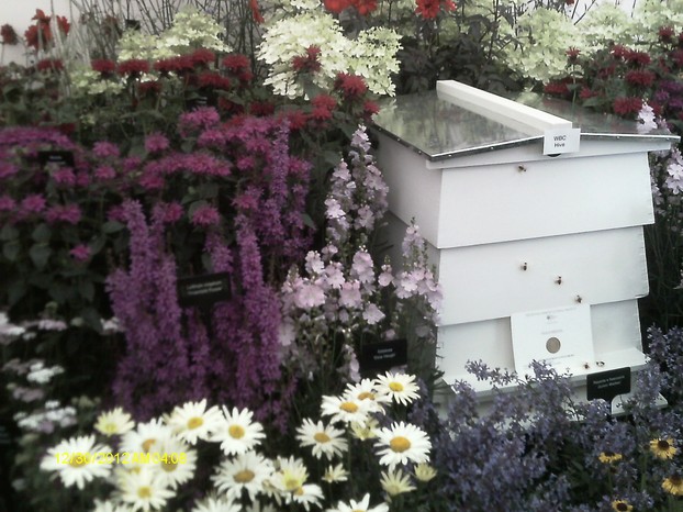 British Beekeeping Society
