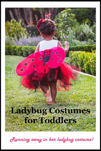 Ladybug Costumes for Toddlers - Please Pin!