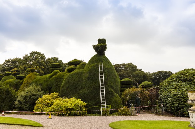 A Topiary Sculpture