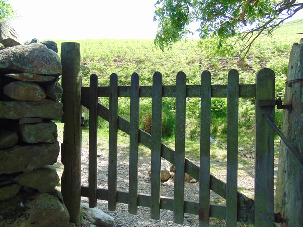 The farm gate