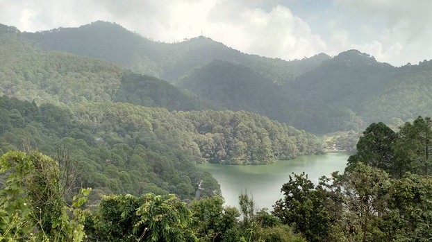 Lake At Nainital Forests