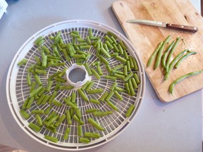 Preparing Green Beans for Drying