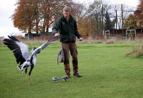 A display with Dave the Secretary Bird