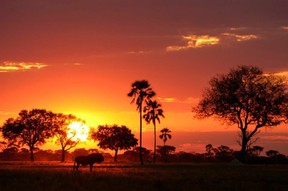 Sunset over Wankie (Whangwe) Zimbabwe