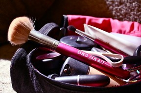 Makeup Brushes in Bag