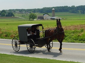 Amish riding in buggy
