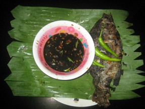 Grilled Tilapia with Soya mixture