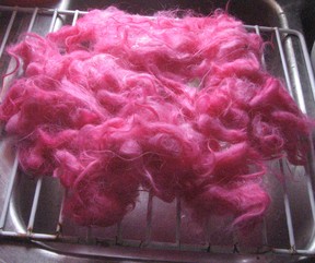 Drying Dyed Wool