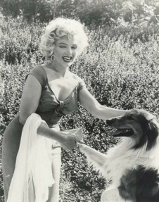 Marylin and Lassie Shake Hands