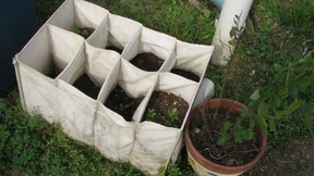 shoe bag planter