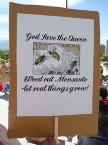 Photo Credit: enslavedbyfaeries // this is the sign that I held at the March Against Monsanto on 5.25.2013
