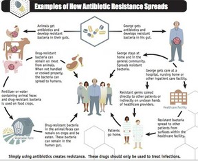 antibiotic resistance spreads