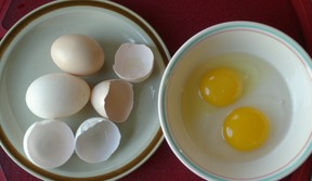 chicken egg and duck egg