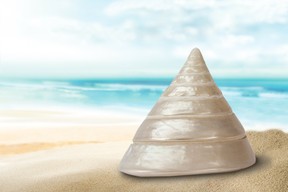 beach seashell