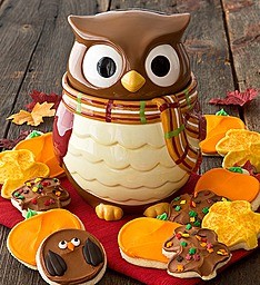 Owl Cookie jar and cookies