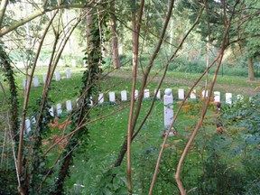A peaceful spot in Saint Symphorien Cemetery