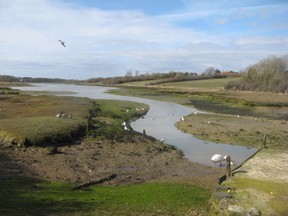 The hamlet is surrounded by shallow tributaries flowing north to the sea