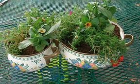 Add flowers to your pot planters