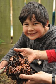 boy holds composting worms