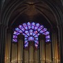 Organ of Notre Dame, By Eric Chan