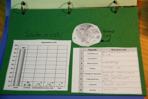 Cell Notebooking Page