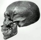 KV55 Skull
